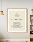 ALEXANDER -  Name Art Print