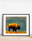 SAN FRANCISCO GOLDEN GATE PARK BISON POSTER