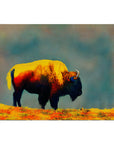 SAN FRANCISCO GOLDEN GATE PARK BISON POSTER