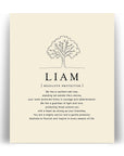 LIAM - Name Art Print