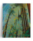 COAST RED WOOD TREE POSTER