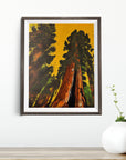 GIANT SEQUOIA TREE POSTER