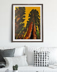 GIANT SEQUOIA TREE POSTER