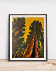 GIANT SEQUOIA TREE POSTER