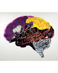 HUMAN BRAIN POSTER