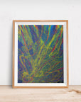 RAINBOW WEB EXPLOSION POSTER
