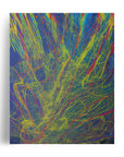 RAINBOW WEB EXPLOSION POSTER