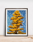 WESTERN WHITE PINE TREE POSTER