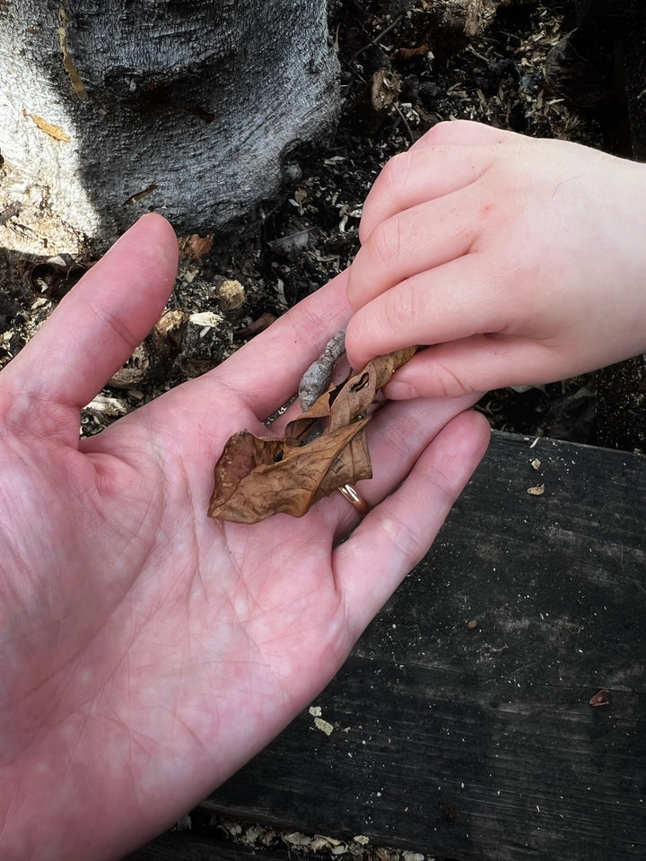 Why children should spend time in nature and how to encourage that