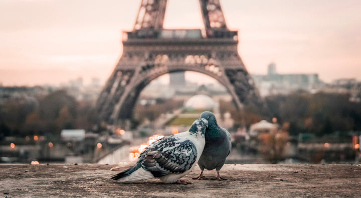 Tips for a Valentine's Day in Paris for Tourists