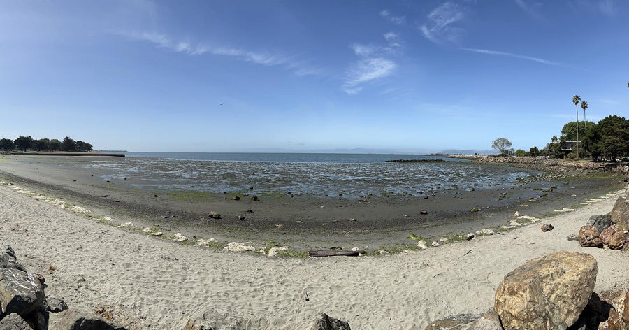 How to help protect the ocean mindfully