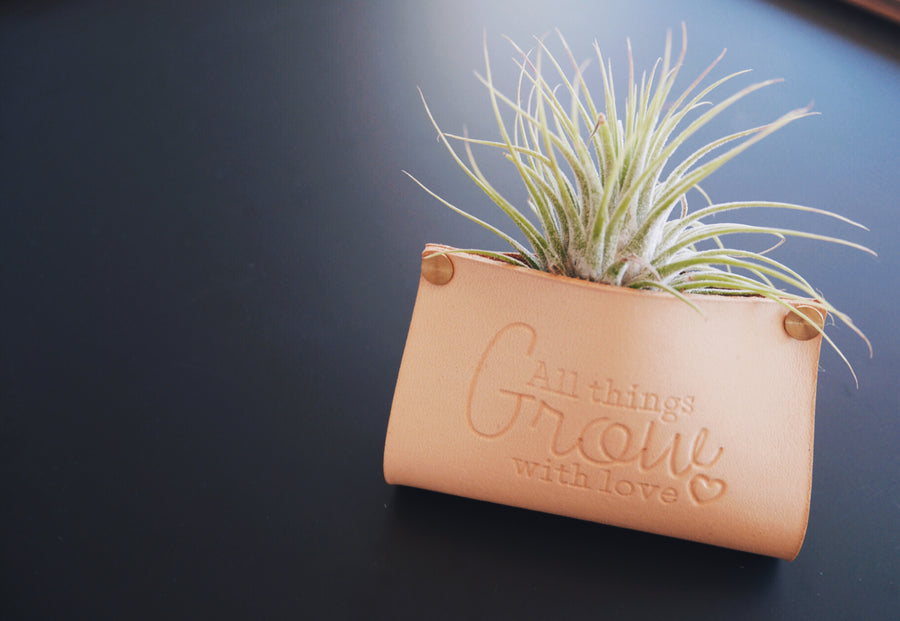 All Things Grow With Love!