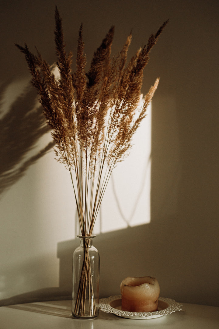 Ways to create a sanctuary at home