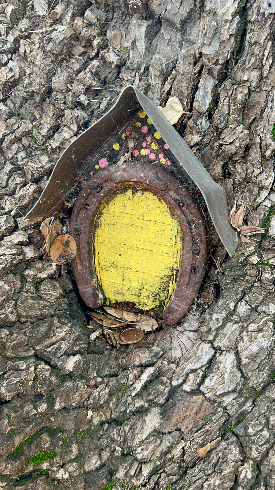 Embracing the Magic: Nurturing Curiosity in Childhood