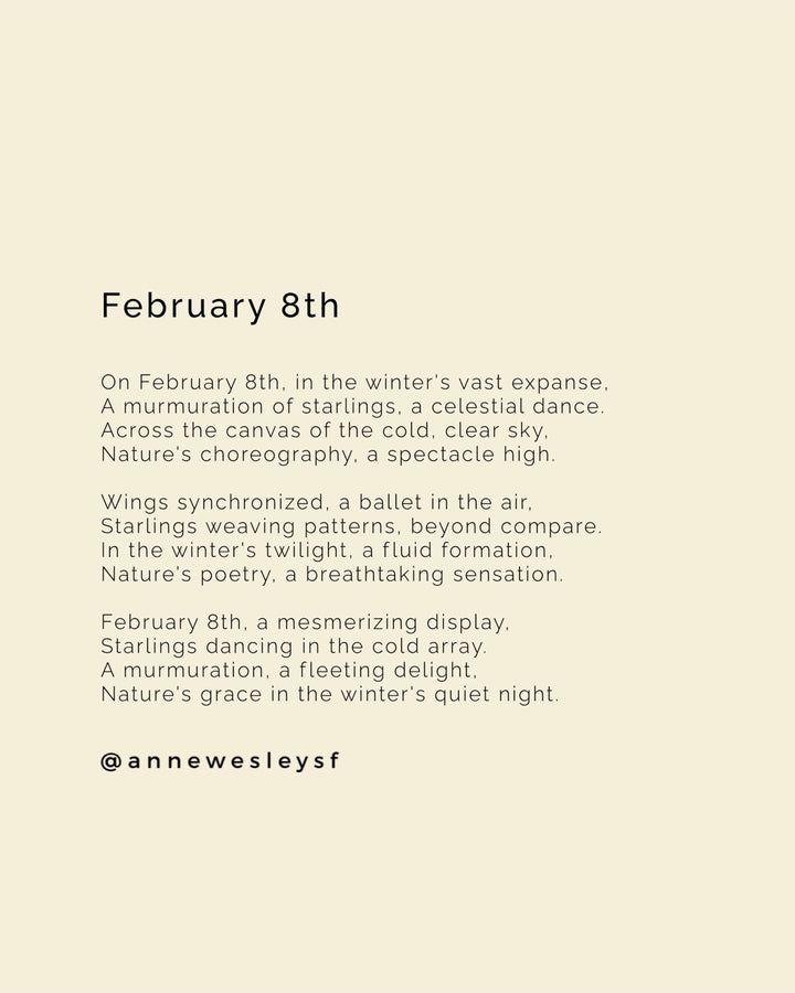 Celestial Ballet: Embracing Nature's Winter Symphony