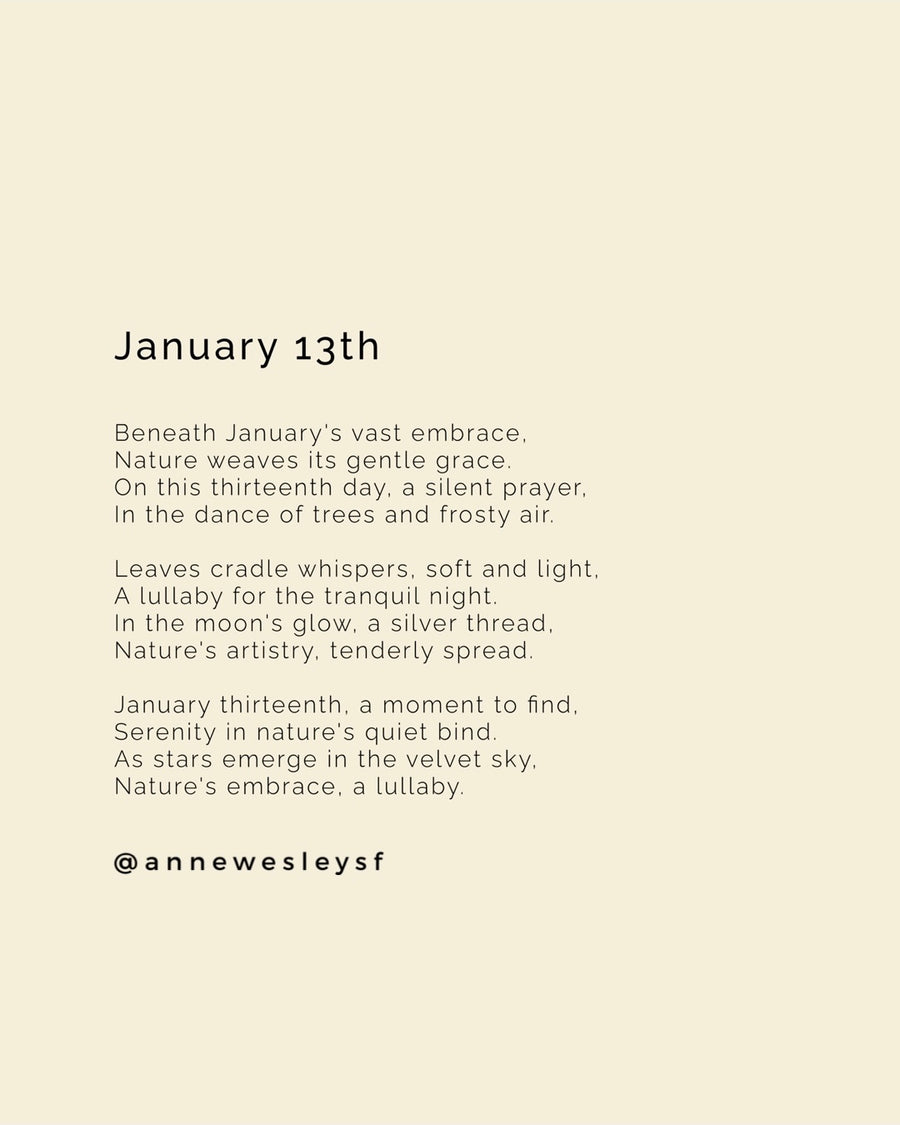 Harmony in Nature: Mindful Reflections on January's Thirteenth Day