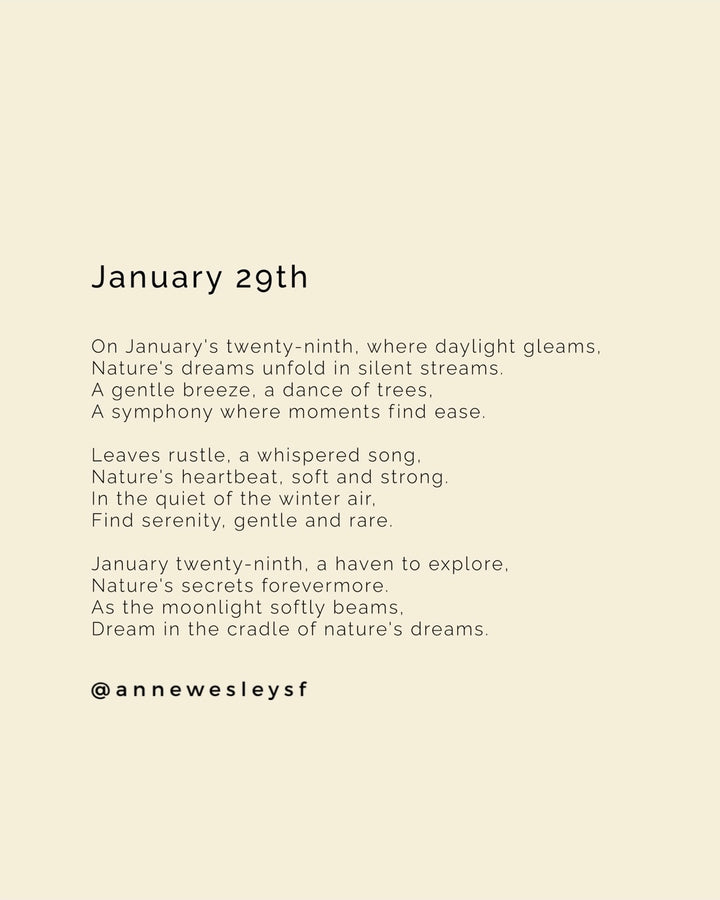 Moonlit Reverie: Mindful Living on January's Twenty-Ninth