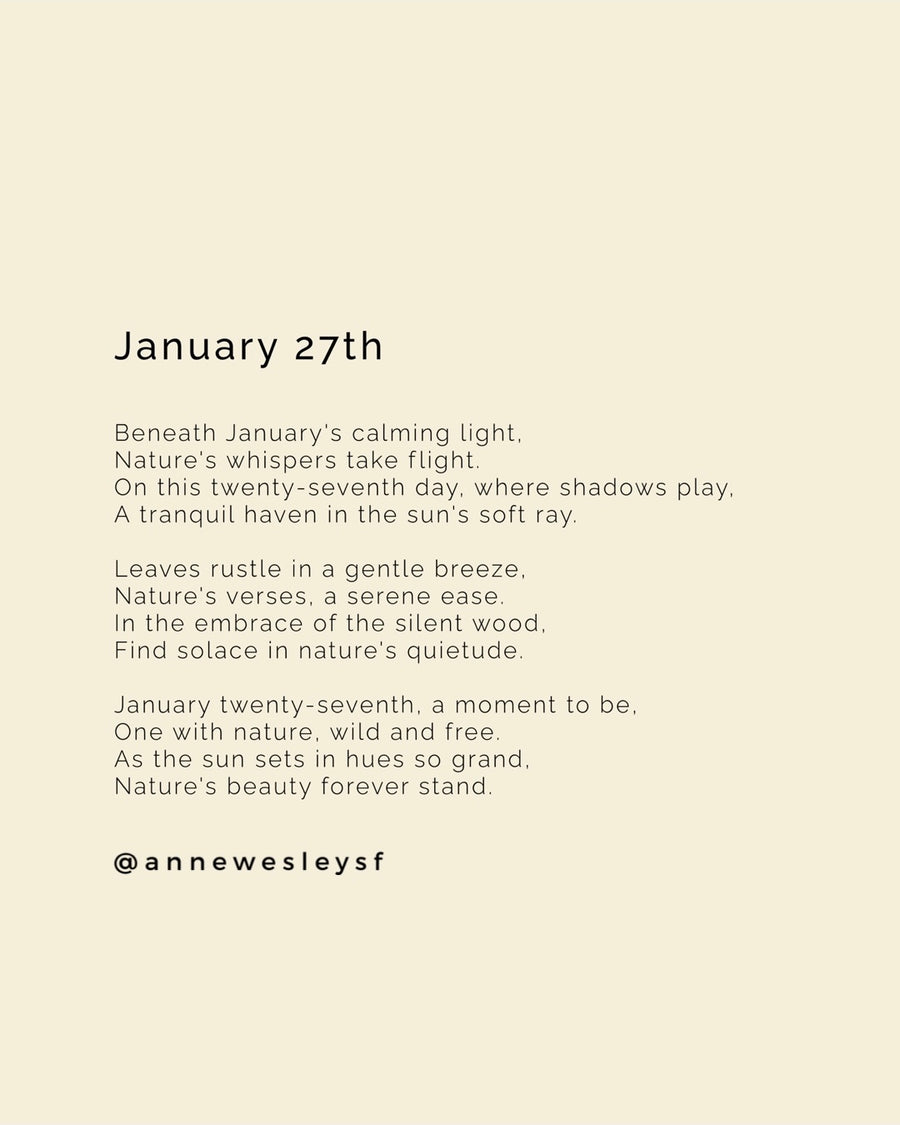 Sunlit Tranquility: Mindful Living on January's Twenty-Seventh Day