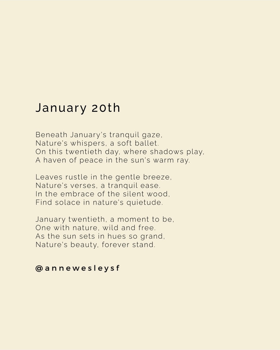 Sunlit Serenity: Mindful Living on January's Twentieth Day