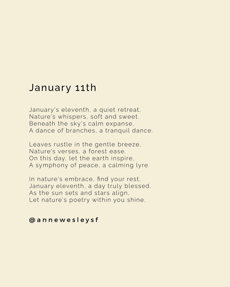 Embracing Serenity: Mindful Living on January's Eleventh Day