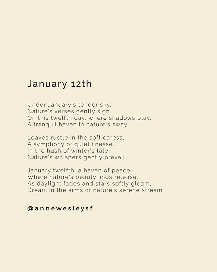 Serenading Shadows: Mindful Reflections on January's Twelfth Day