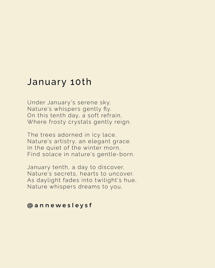 Whispers of Winter: A Mindful Journey on January's Tenth Day