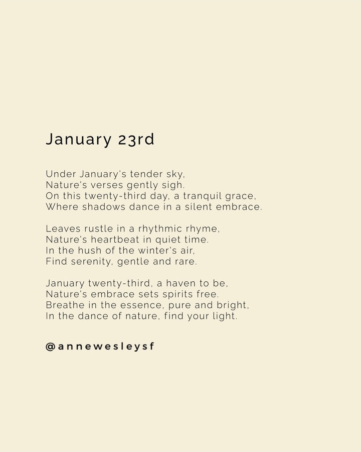 Harmony in Shadows: Mindful Living on January's Twenty-Third Day