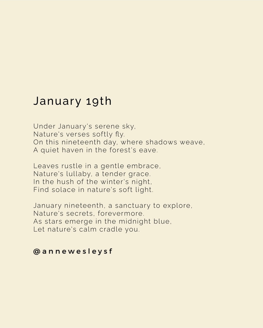 Midwinter Tranquility: Mindful Living on January's Nineteenth Day