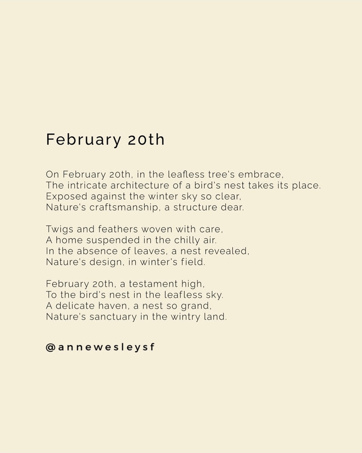 Nature's Architect: Celebrating the Beauty of Bird Nests on February 20th