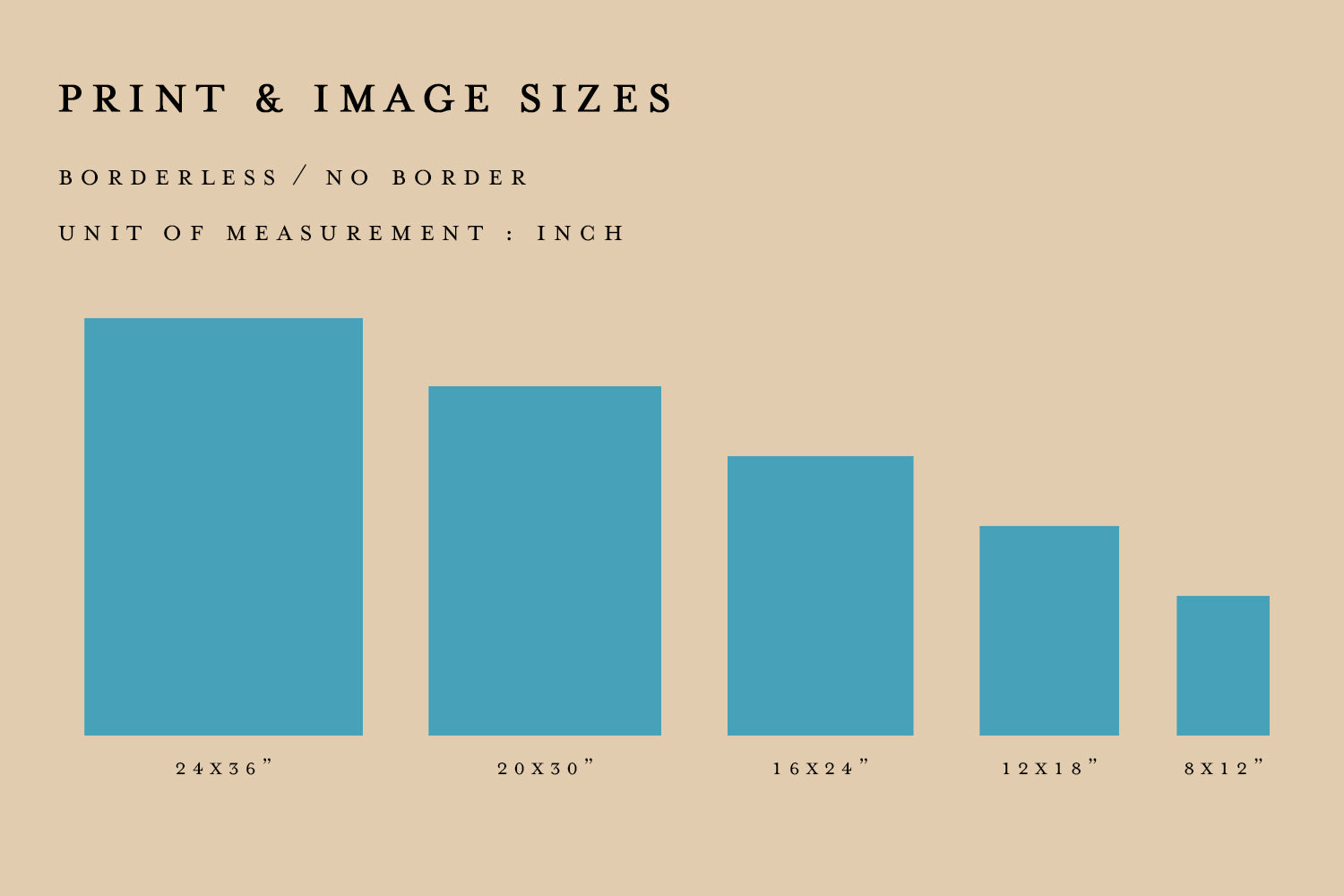 SAN FRANCISCO PALACE OF FINE ARTS POSTER