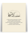 'Pause and Slow Down' BEAR Positive Affirmation Art Print - Long Affirmation