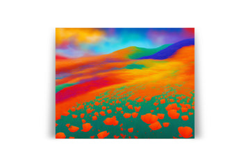 CALIFORNIA RAINBOW POPPY FIELD PSYCHEDELIC POSTER