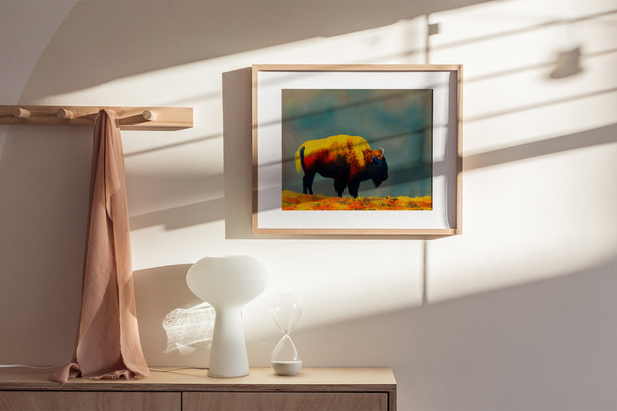 SAN FRANCISCO GOLDEN GATE PARK BISON POSTER