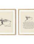'Be Gentle And Graceful' WHALE SHARK Positive Affirmation Art Print - Set of 2 Prints