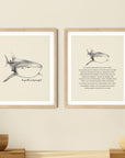 'Be Gentle And Graceful' WHALE SHARK Positive Affirmation Art Print - Set of 2 Prints