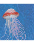 JELLY FISH POSTER