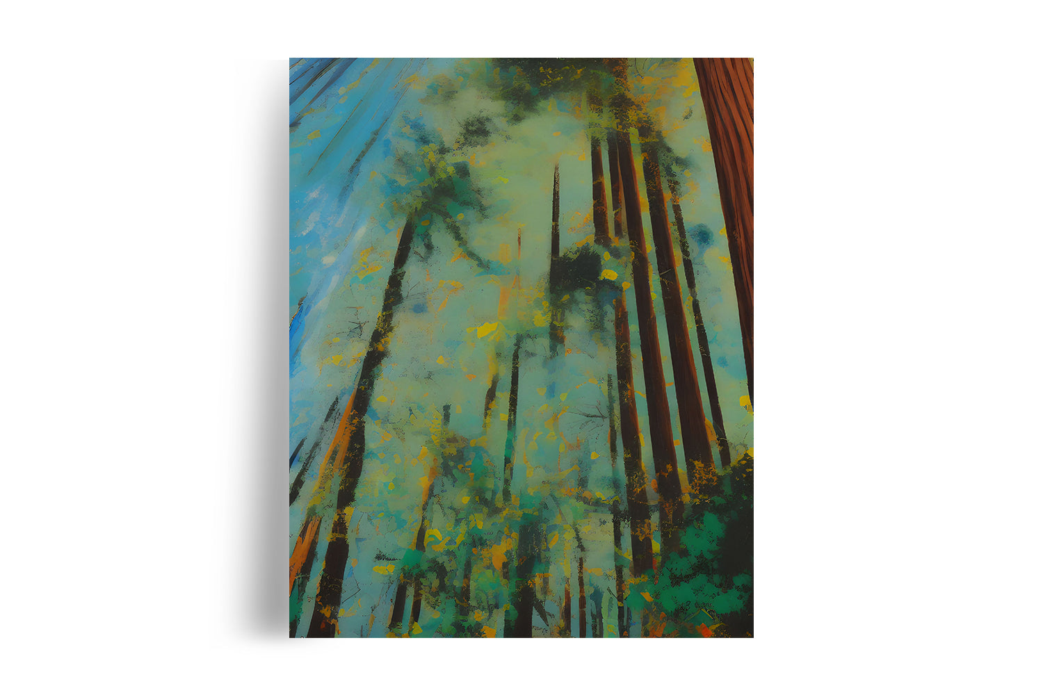 COAST RED WOOD TREE POSTER