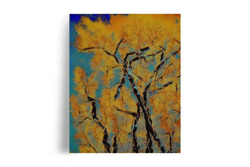 EASTERN COTTON WOOD TREE POSTER