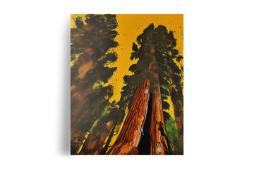 GIANT SEQUOIA TREE POSTER