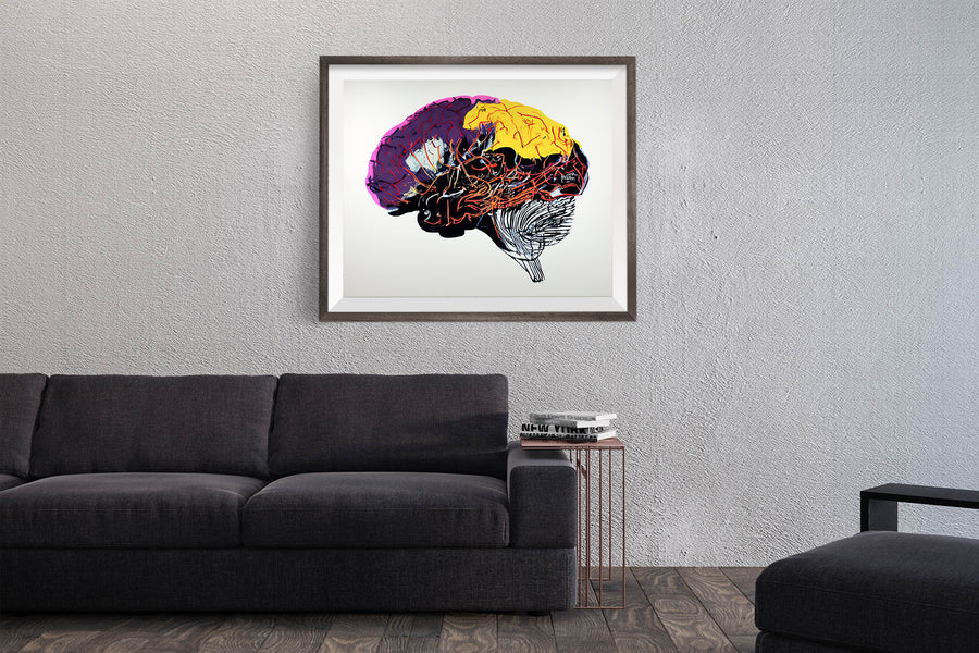 HUMAN BRAIN POSTER