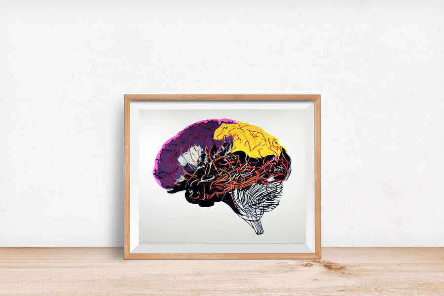 HUMAN BRAIN POSTER