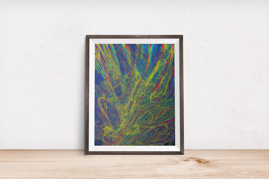 RAINBOW WEB EXPLOSION POSTER