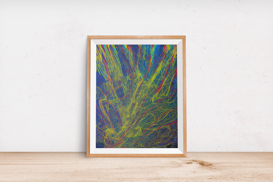 RAINBOW WEB EXPLOSION POSTER