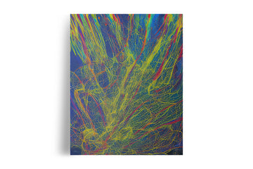 RAINBOW WEB EXPLOSION POSTER